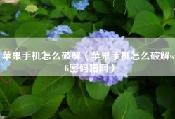 苹果手机怎么破解（苹果手机怎么破解wifi密码蹭网）