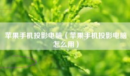 苹果手机投影电脑（苹果手机投影电脑怎么用）