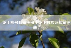 免手机号邮箱注册（免手机验证邮箱注册）