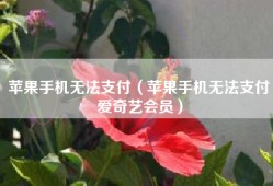 苹果手机无法支付（苹果手机无法支付爱奇艺会员）