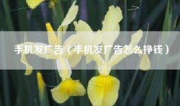 手机发广告（手机发广告怎么挣钱）