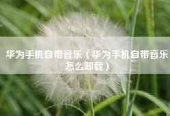 华为手机自带音乐（华为手机自带音乐怎么卸载）