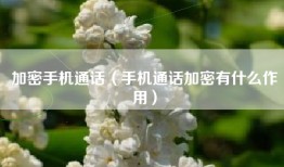 加密手机通话（手机通话加密有什么作用）