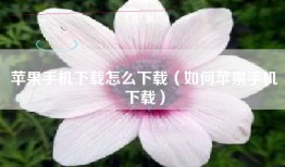 苹果手机下载怎么下载（如何苹果手机下载）