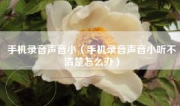 手机录音声音小（手机录音声音小听不清楚怎么办）