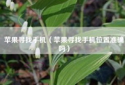 苹果寻找手机（苹果寻找手机位置准确吗）