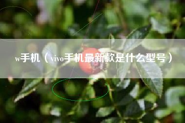 w手机（vivo手机最新款是什么型号）