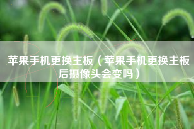 苹果手机更换主板（苹果手机更换主板后摄像头会变吗）