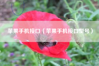 苹果手机接口（苹果手机接口型号）