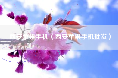 西安苹果手机（西安苹果手机批发）