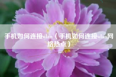 手机如何连接wlan（手机如何连接wlan网络热点）