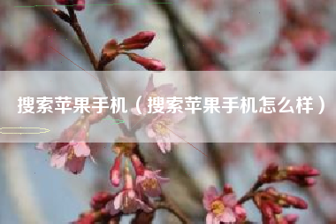 搜索苹果手机（搜索苹果手机怎么样）