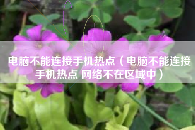 电脑不能连接手机热点（电脑不能连接手机热点 网络不在区域中）