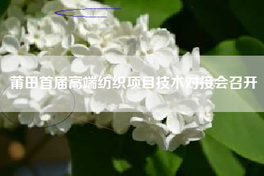 莆田首届高端纺织项目技术对接会召开