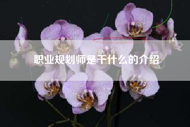 职业规划师是干什么的介绍